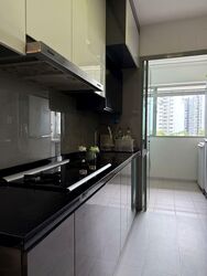 Blk 273A Punggol Regalia (Punggol), HDB 4 Rooms #556368661